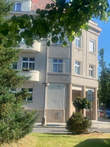 Walter&sons Centro Podebrady